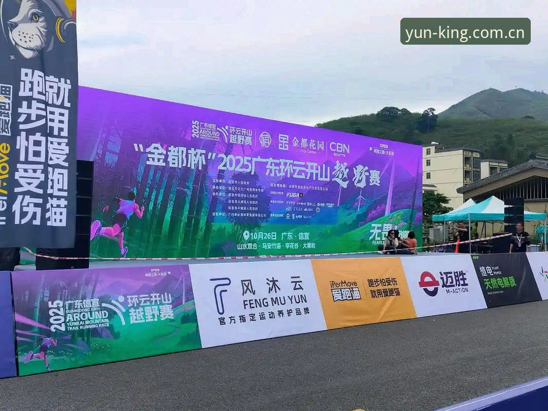 揭秘:开云体育稳定吗哪个好?2025实战派深度解析